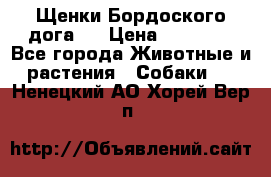 Щенки Бордоского дога.  › Цена ­ 30 000 - Все города Животные и растения » Собаки   . Ненецкий АО,Хорей-Вер п.